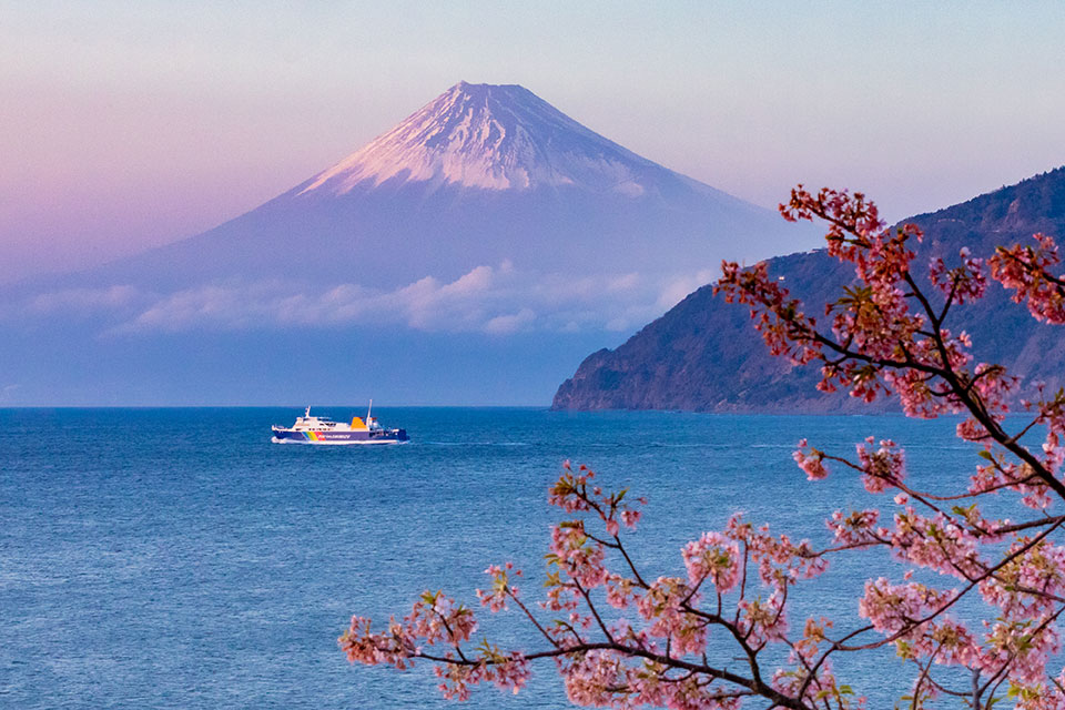 入選　上田 龍太郎さんの作品「桜色に染まる夕暮れの駿河湾」